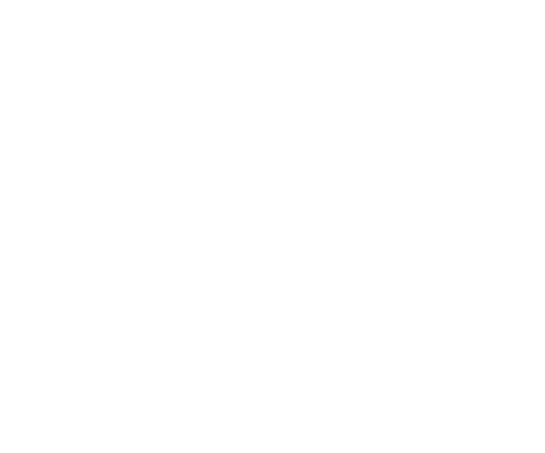 Emirates Parque Flamboyant